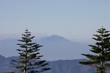 07_IMG_1903_thumb.jpg