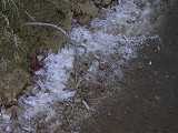 14_DSCN3026_thumb.jpg