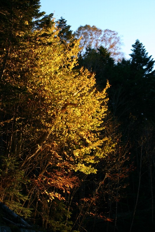 16_IMG_1938.jpg
