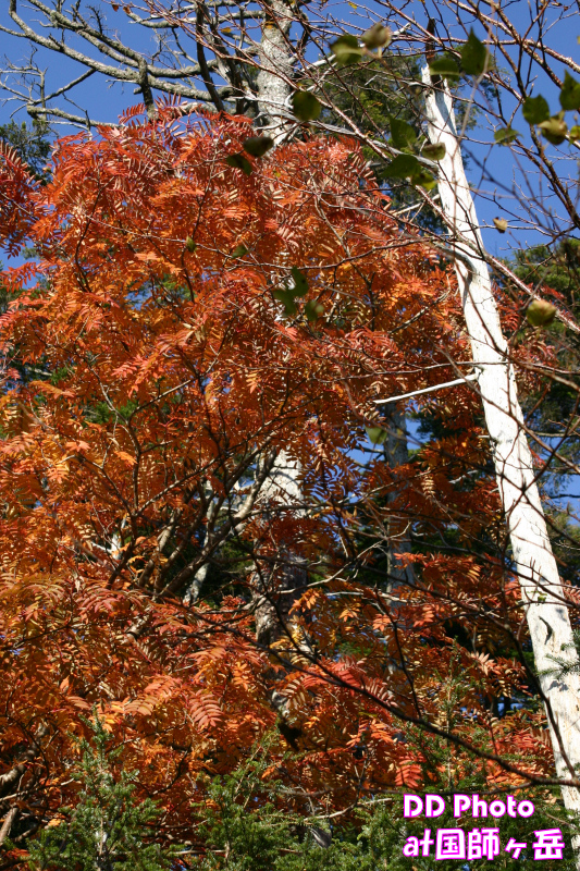 14_IMG_9084s.jpg